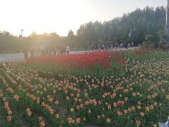 -长春公园(普阳街道)