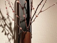 -小隐人家(乐松店)