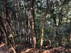 -江郎山风景名胜区