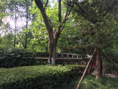 -邓小平故里