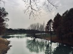 -尚贤河湿地