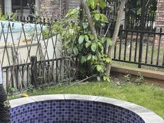 -美的鹭湖森林度假区