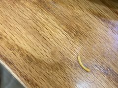 -老盛兴汤包馆(江宁一店)
