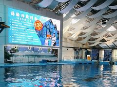 -合肥海洋世界