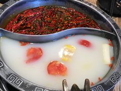 -销魂美蛙鱼头火锅(上海首店)