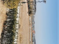 -丹世红酒庄·烧烤·团建·婚礼·水上运动