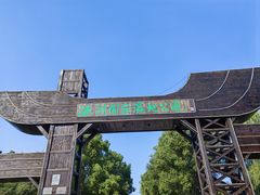 -溱湖国家湿地公园