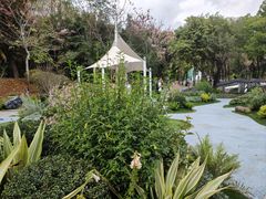 -深圳国际园林花卉博览园