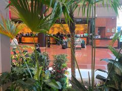 -上海新锦江大酒店