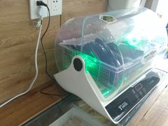 -大米先生(韶山南路店)