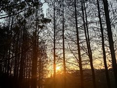 -艾溪湖湿地公园