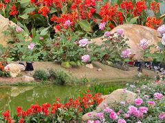 -人民公园(罗湖区)