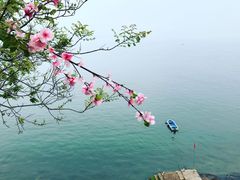 -美人鱼悬崖海景餐厅(鹿嘴山庄店)