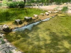 -沕沕水生态风景区