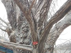 -阳台山自然风景区