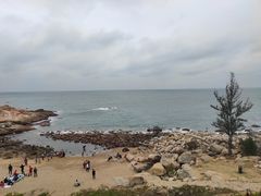 -广东惠东海龟国家级自然保护区