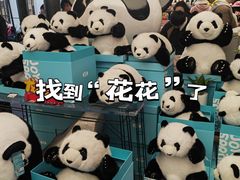 -熊猫屋(宽窄巷子景区店)