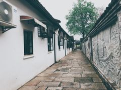 -运河游船(武林门码头)