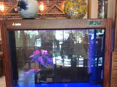 -东来菜馆•手抓海鲜家常菜•海鲜锅贴(鸽子窝店)