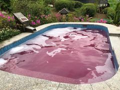 -汤山温泉房车营地 茶温泉