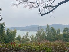-天目湖涵田半山温泉