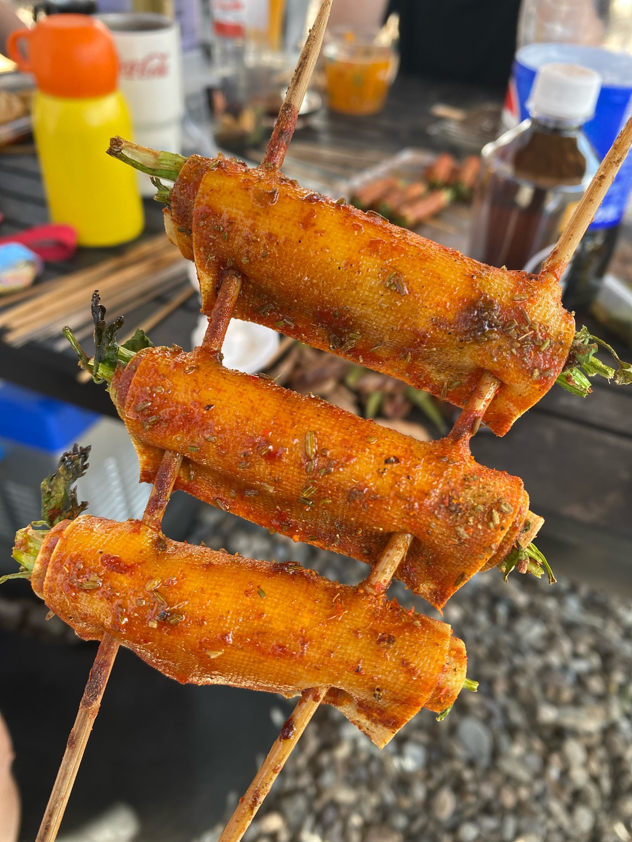 带娃走进大自然,钓鱼烧烤躲清净