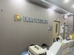 -瑞鹏宠物医院·骨外科·心肾科·肿瘤科(九亭店)