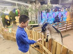 -正佳雨林生态植物园