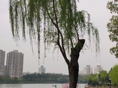 -黄兴公园