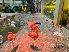 -白虎自助餐厅·真老虎·景观自助餐厅(广州长隆酒店)