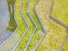 -南山植物园