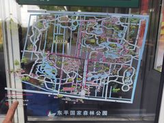 -东平国家森林公园