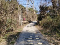 -青龙山国家森林公园