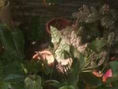 -泰古龙抓龙筋·spa按摩(静安店)