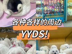 -海合安成都极地海洋公园