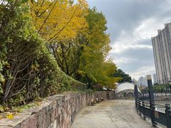 -苏州河梦清园环保主题公园