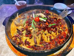 -老板恋上鱼(恒隆广场店)