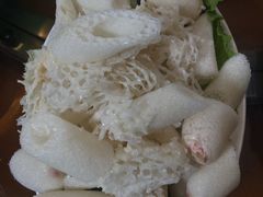 竹荪-山大王菌莊