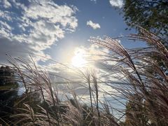 -圣露庄园·露营·烤肉·亲子