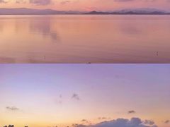 -深圳湾公园(南山区)