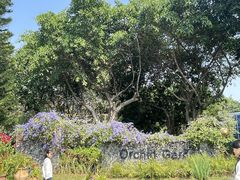 -东莞植物园