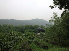 iphone_upload_pic-旺山景区