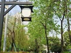 -成都市活水公园