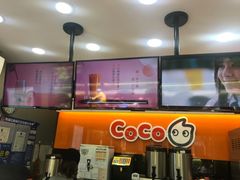 -CoCo都可(骆家庄新店)
