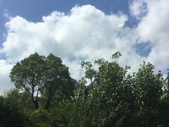 -上海长海医院·体检中心