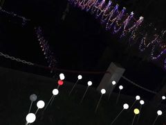 -龙口南山旅游景区