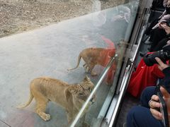 -西安秦岭野生动物园