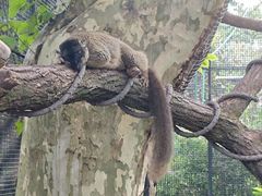 -上海动物园(地铁站)