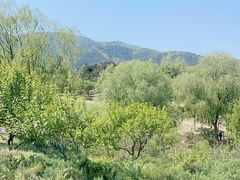 -北京西山国家森林公园