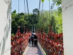-西双版纳原始森林公园